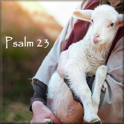 Psalm 23: Strength & Comfort in Testing